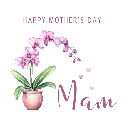 The design: handpainted orchid drops heart-shaped watercolour petals. Text reads: "Happy Mother's Day Mam"