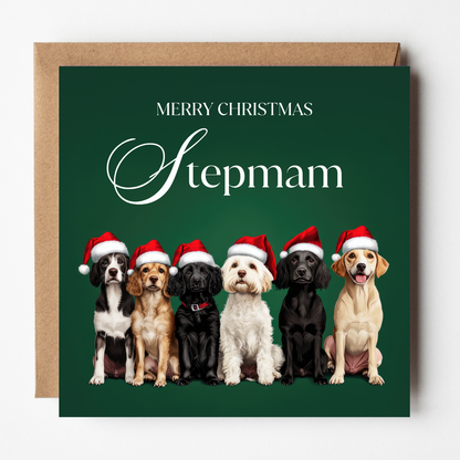 Stepmam Christmas Card - Santa Paws